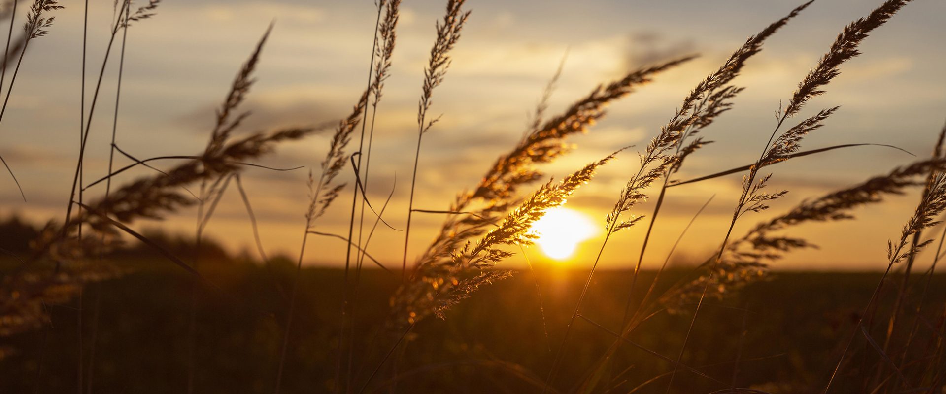 beautiful-view-morning-light